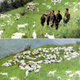 Image for article titled A Brief History of North Korean Photoshops